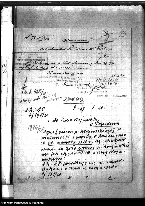 Obraz 17 z jednostki "Zaraza płucna - Jarocin"