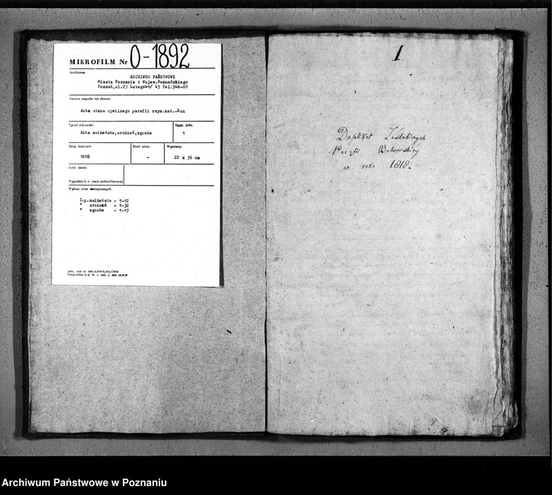 Obraz 3 z jednostki "Duplikat urodzonych, zaślubionych i zmarłych"