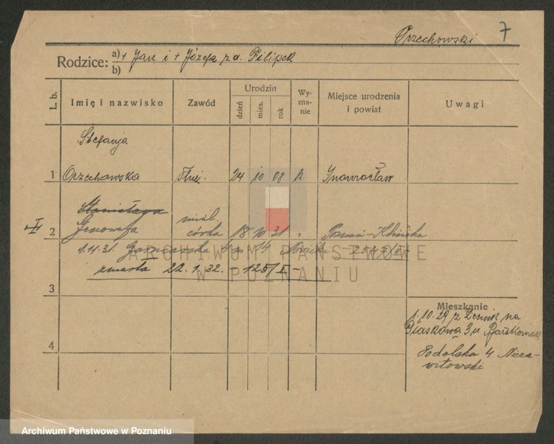 Obraz 7 z jednostki "Ormay - Osinek"