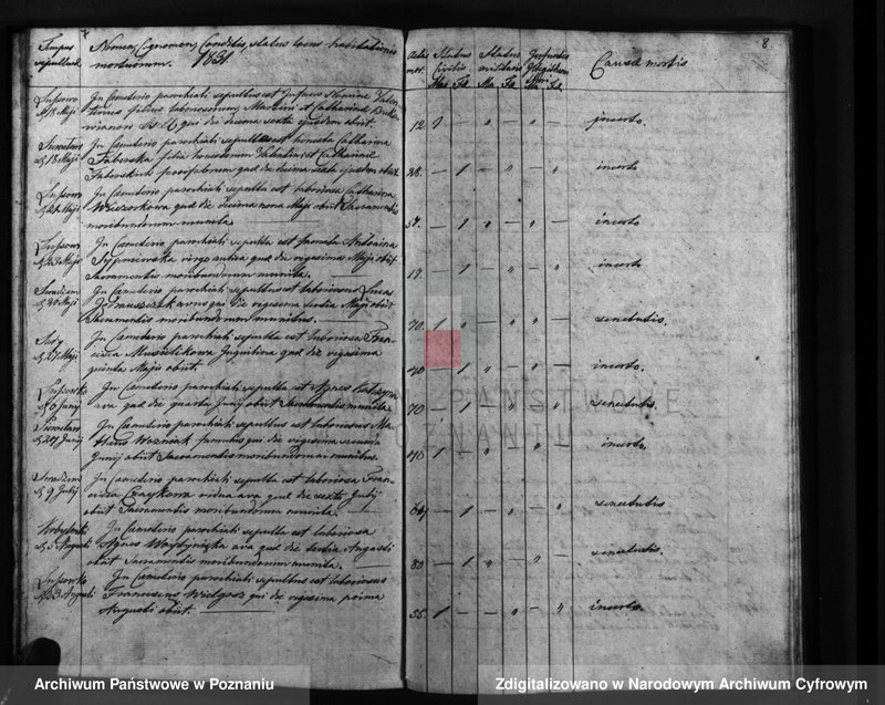 Obraz 7 z jednostki "Liber mortuorum"