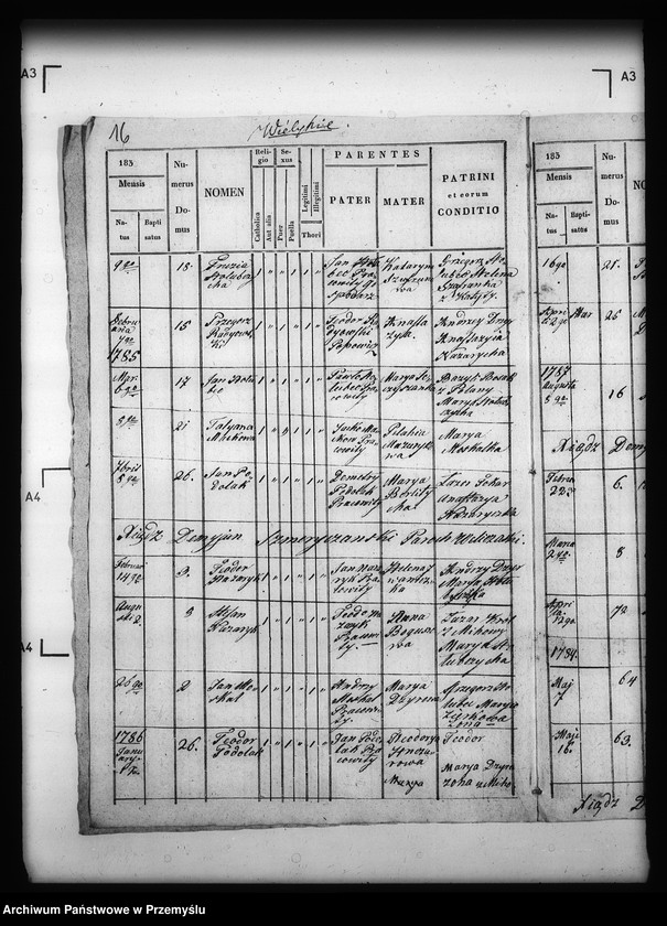 Obraz 20 z jednostki "[Kopie ksiąg metrykalnych parafii Michowa z filią Wełykie (dekanat Dobromil)]"