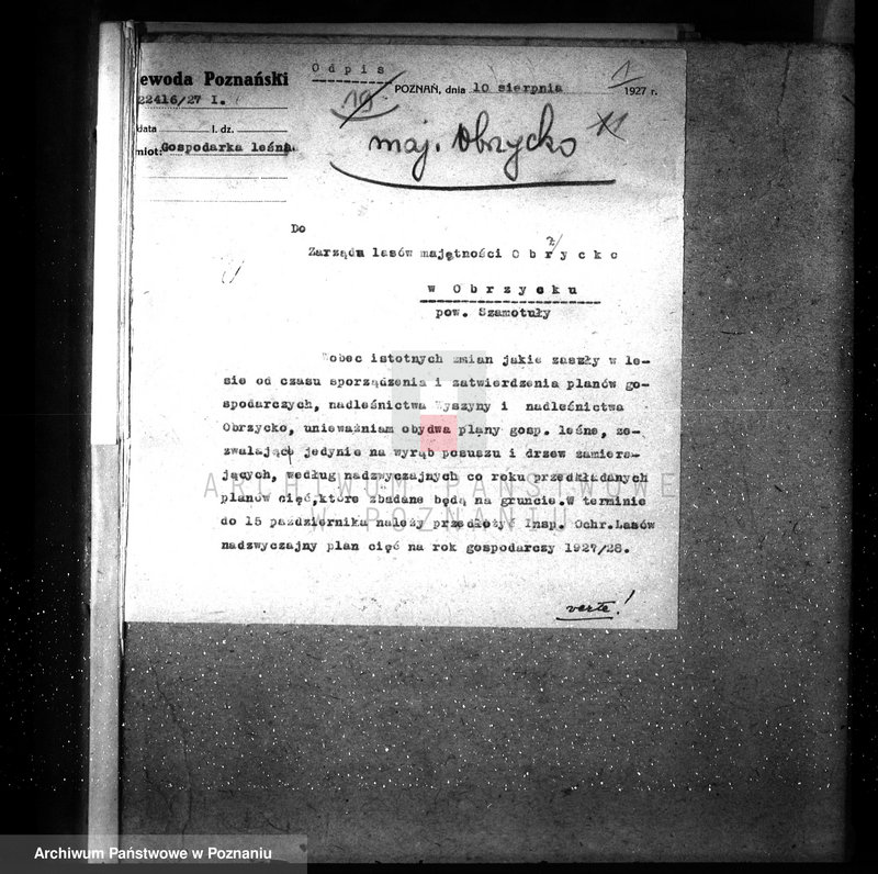 Obraz 5 z jednostki "Ordynacja Obrzycko /nadzór nad gospodarką leśną/"
