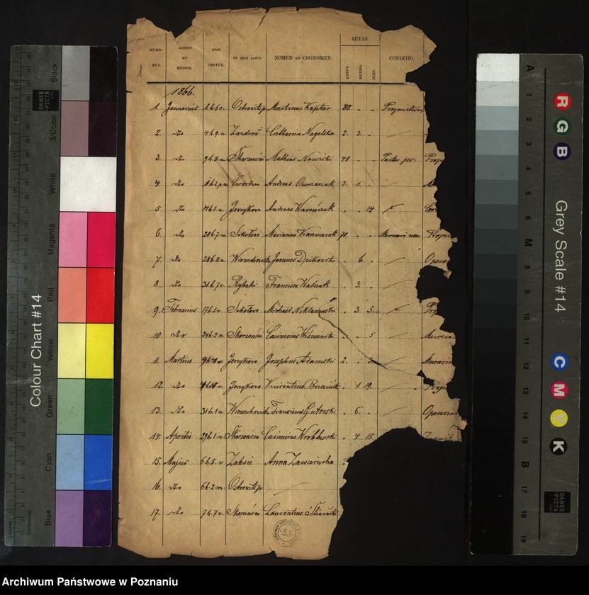 image.from.unit.number "Liber mortuorum"