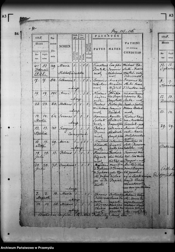Obraz 18 z jednostki "[Kopie ksiąg metrykalnych parafii Radenice z filiami Czyżowice, Podliski, Wiszenka (dekanat Mościska)]"
