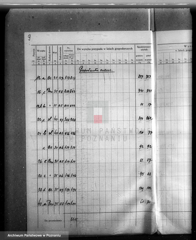 Obraz 13 z jednostki "Plan urządzenia gospodarstwa leśnego lasu majętności Dakowsko-Wojnowickiej w powiecie nowotomyskim"