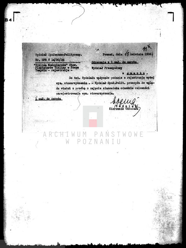 Obraz 15 z jednostki "/Stowarzyszenie Plantatorów Wikliny Wiklina Koszykarska/"