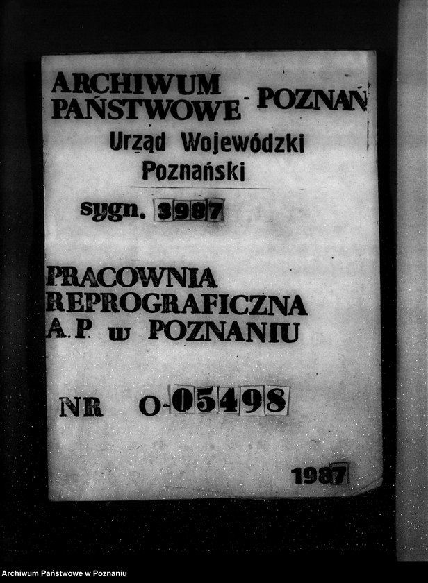 Obraz 1 z jednostki "Majętność leśna Stołężyn powiat wągrowiecki"