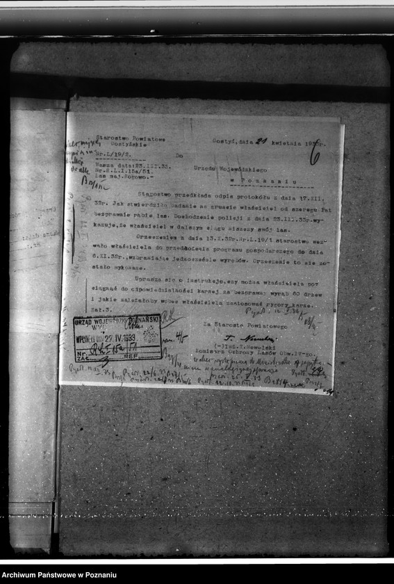 Obraz 10 z jednostki "Nadzór nad gospodarką w lasach majętności Rogowo w powiecie gostyńskim"