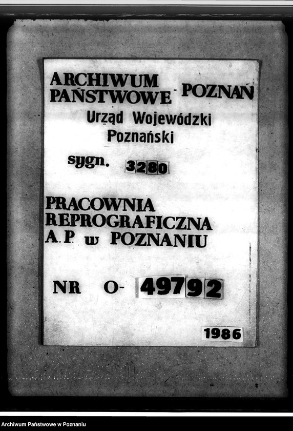 Obraz 10 z jednostki "/Las majątku Dąbrówka-Kujawska/"