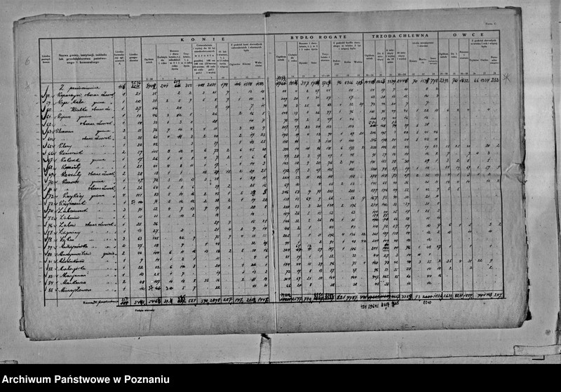 Obraz 9 z jednostki "Spis koni, bydła, trzody chlewnej i owiec - zestawienie z terenu powiatu średzkiego"