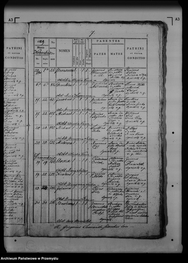 Obraz 12 z jednostki "[Kopie ksiąg metrykalnych parafii Dziewięcierz (dekanat Rawa Ruska)]"