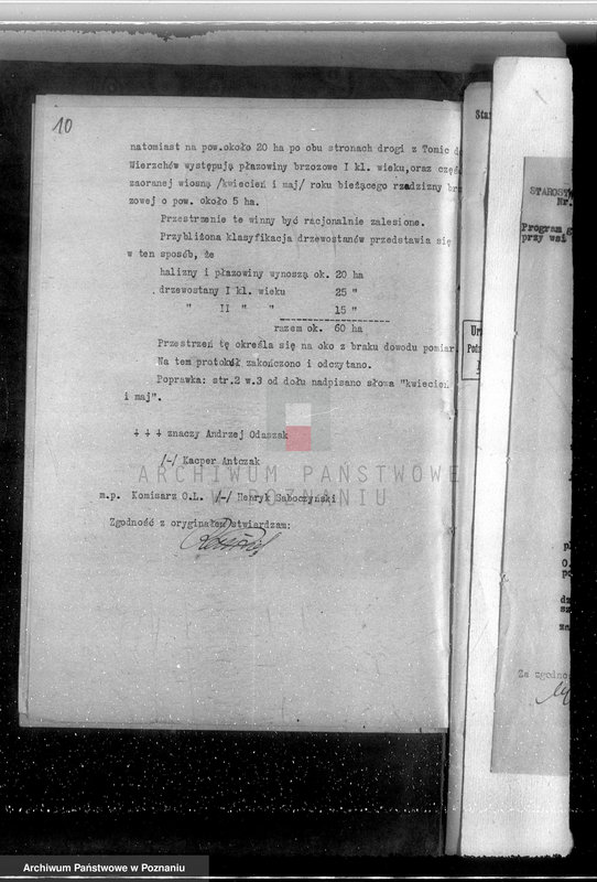 Obraz 14 z jednostki "Gmina Szyminowice powiat koniński /nadzór nad gospodarką leśną/"