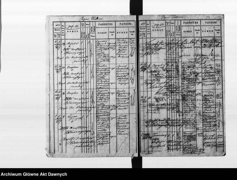 image.from.unit.number "Parafia: Tadanie. Dekanat: Gliniany. Księga metrykalna urodzeń 1845-1887, ślubów 1846-1893 i zgonów 1840-1899 dla wsi Tadanie. Tom XX."