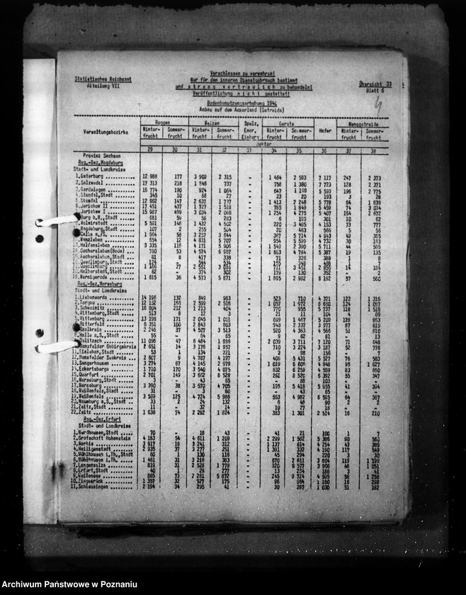 Obraz 8 z jednostki "Sachsen"