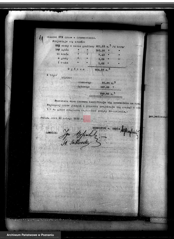 Obraz 15 z jednostki "Lasy miasta Dąbie powiatu kolskiego"