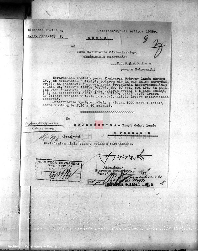 Obraz 13 z jednostki "Nadzór nad gospodarką w lasach majętności Plugawice powiat kępiński"