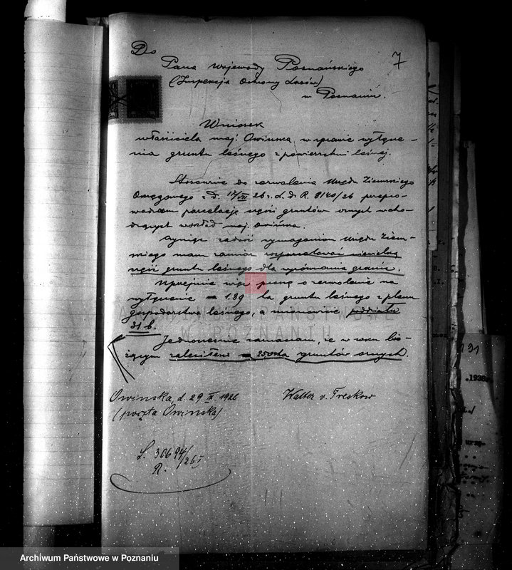 Obraz 11 z jednostki "Nadzór nad gospodarką w lasach majętności Owińska powiat poznański"