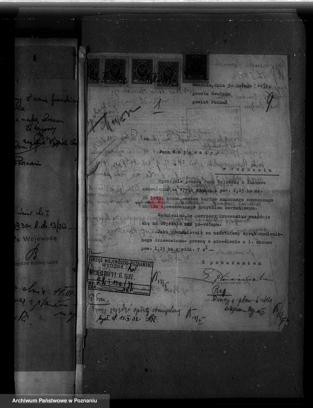 Obraz 18 z jednostki "Majętność leśna Swadzim powiat poznański"