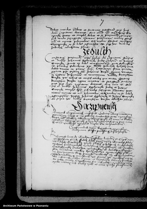 Obraz 15 z jednostki "Inscriptiones, relationes, decreta [inducta]"