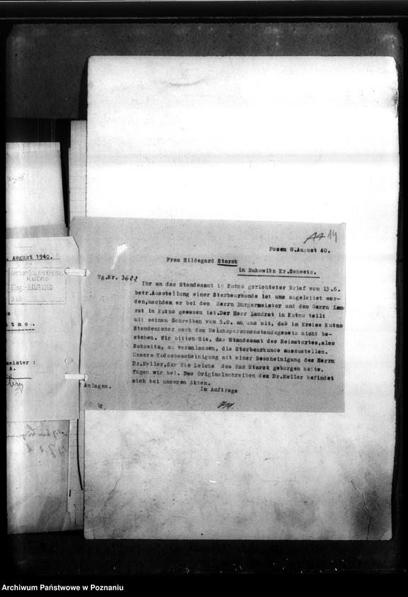 Obraz 20 z jednostki "Max Starck - Bukowitz, Kreis Schwetz (Świecie)"