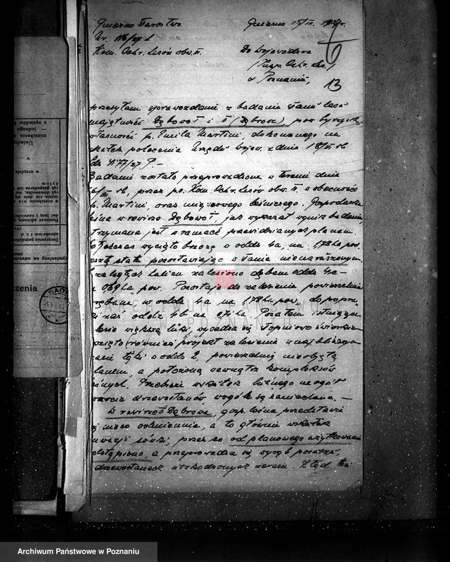 Obraz 17 z jednostki "Majętność leśna Dębowo powiat wyrzyski"