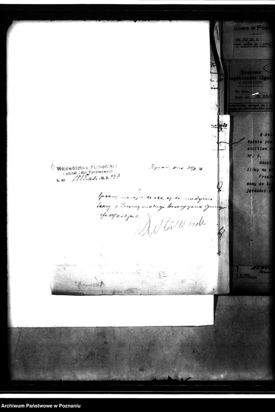 Obraz 10 z jednostki "Dobra państwowe Wełna ubezpieczenie od ognia"