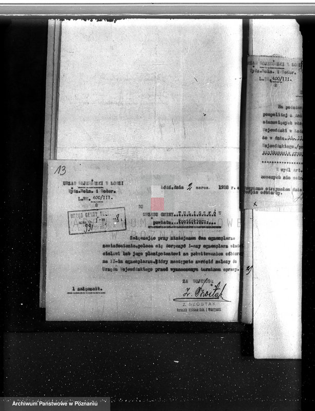 Obraz 17 z jednostki "Majątek Smaszew powiat koniński"