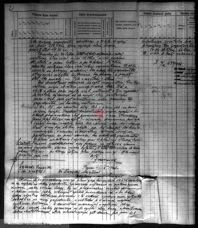 Obraz 6 z jednostki "Majętność leśna w Parzęcinie powiat kościański"