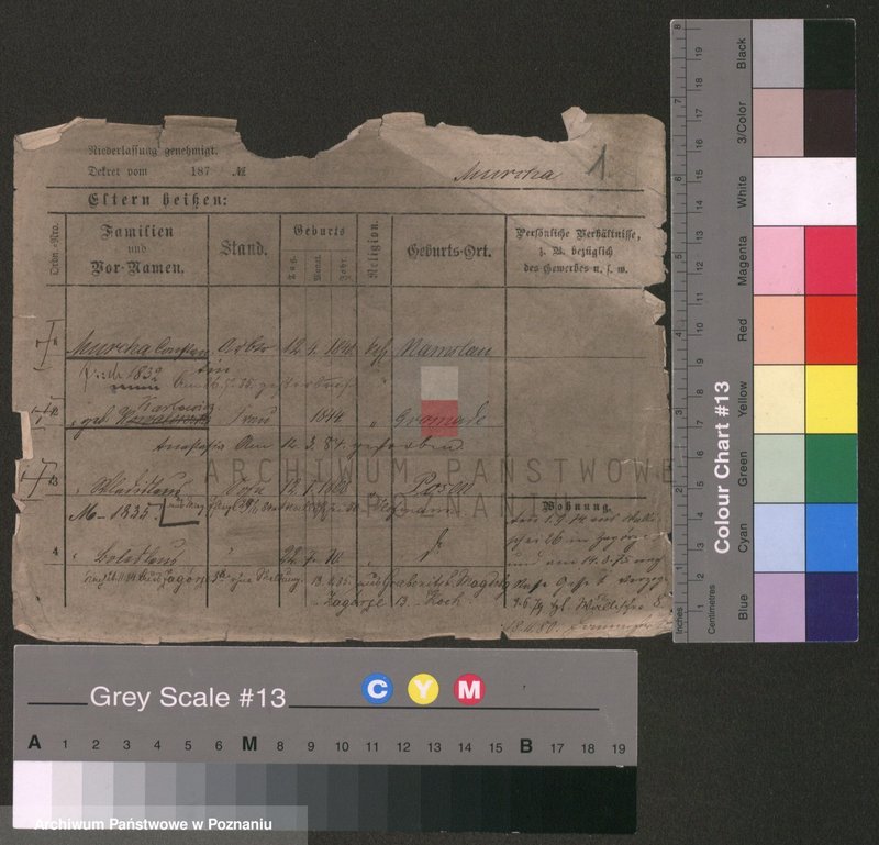 Obraz 1 z jednostki "Murcha - Musiał"