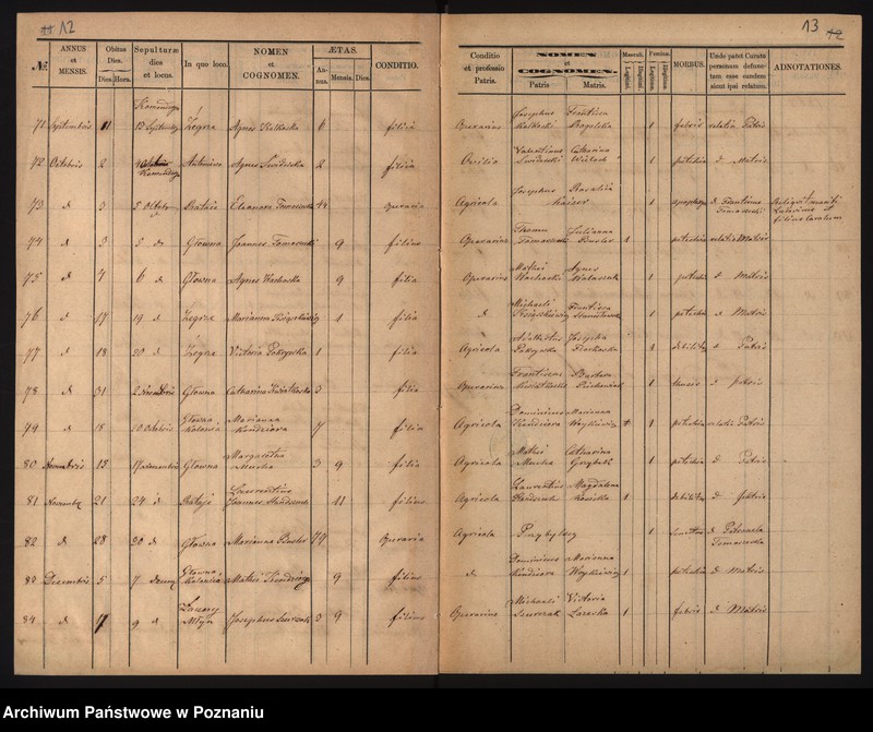 Obraz 8 z jednostki "Księga zgonów"