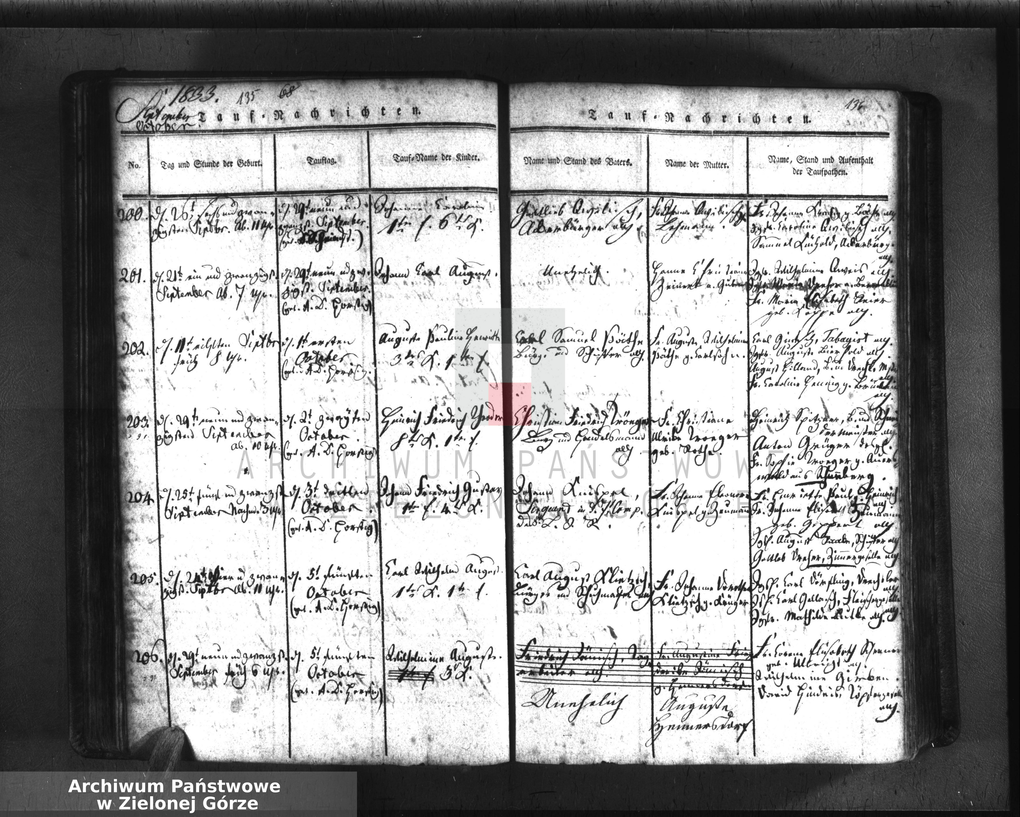 Skan z jednostki: Tauf-Buch der Stadt und Haupt-Kirche zu Guben