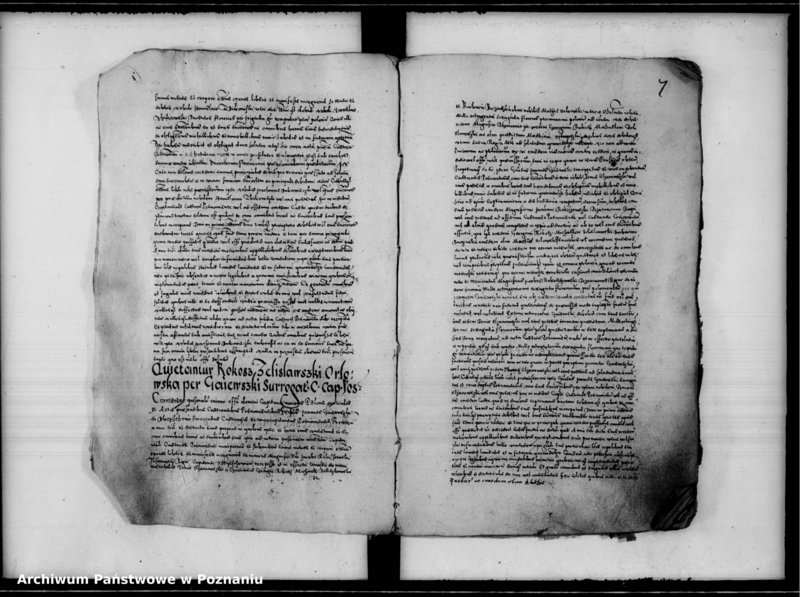 Obraz 12 z jednostki "Inscriptiones, relationes [inducta]"