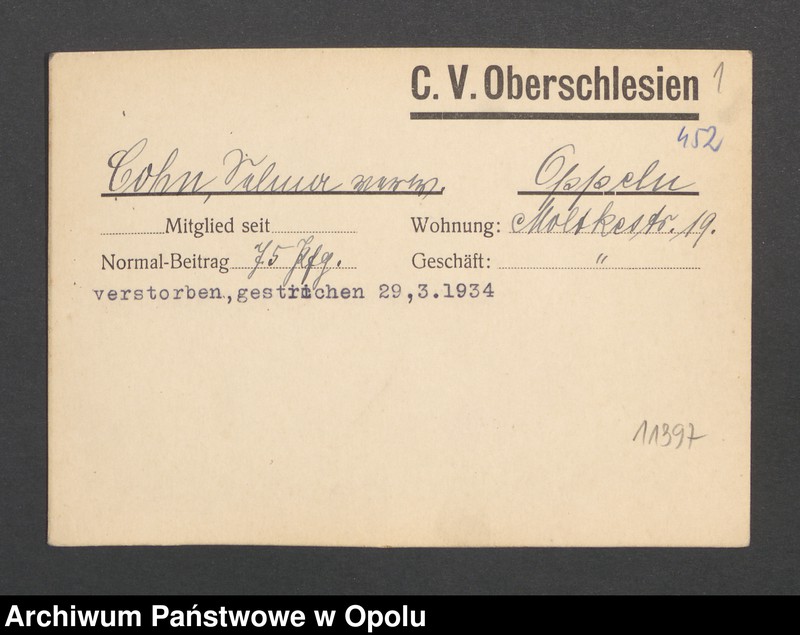 Obraz 3 z jednostki "[Cohn Selma, Oppeln]"