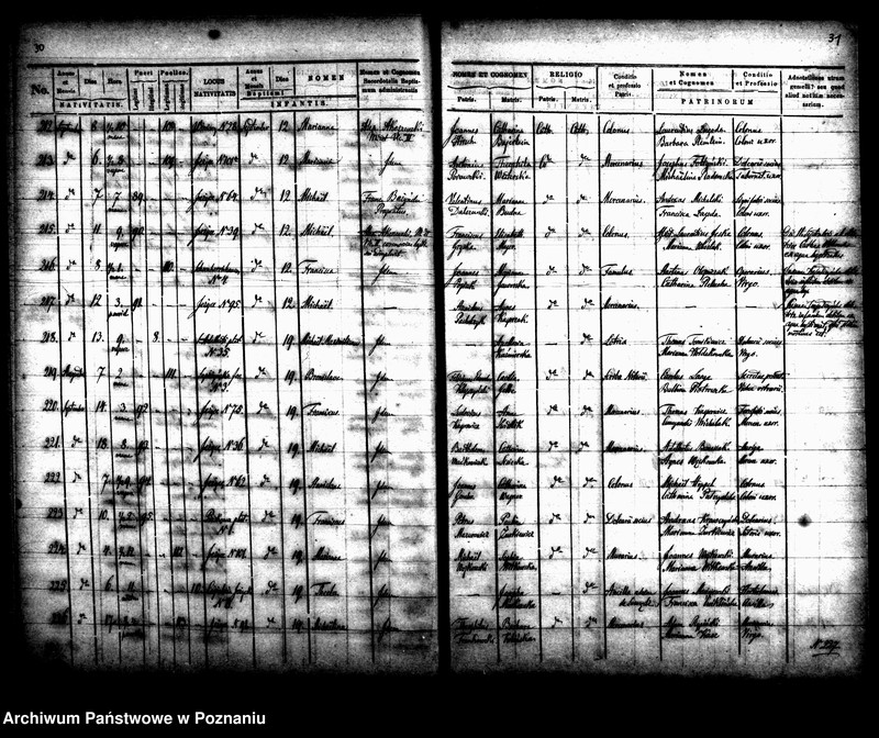 Obraz 19 z jednostki "Księga urodzin"