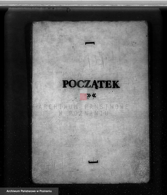 Obraz 4 z jednostki "Ustalenie powierzchni leśnej majątku Wilczyno-Podole powiat słupecki oraz nieprawne wyręby lasu"