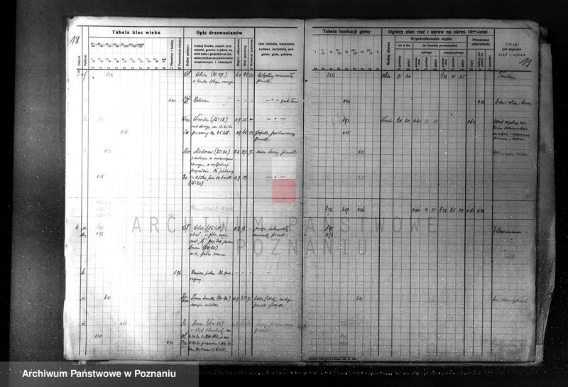 Obraz 19 z jednostki "Plan urządzania gospodarstwa leśnego dla lasu majętności Borówkowo-Stare i Piotrkowice powiat kościański"