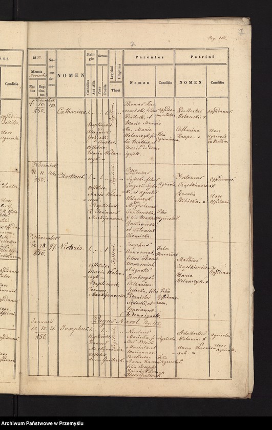 Obraz 9 z jednostki "[Kopie ksiąg metrykalnych urodzeń, małżeństw i zgonów parafii Narol za rok 1850]"