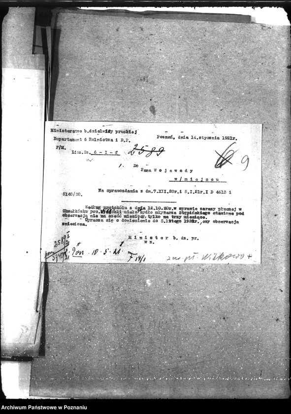 Obraz 14 z jednostki "Zaraza płucna - Witkowo"