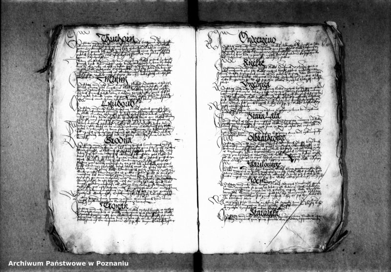 Obraz 13 z jednostki "Inscriptiones, relationes, decreta [inducta]"