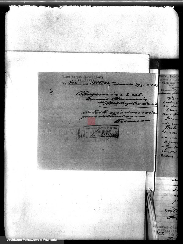 Obraz 10 z jednostki "Kościół katolicki Biezdrowo Łężeczki powiat międzychodzki /nadzór nad gospodarką leśną/"