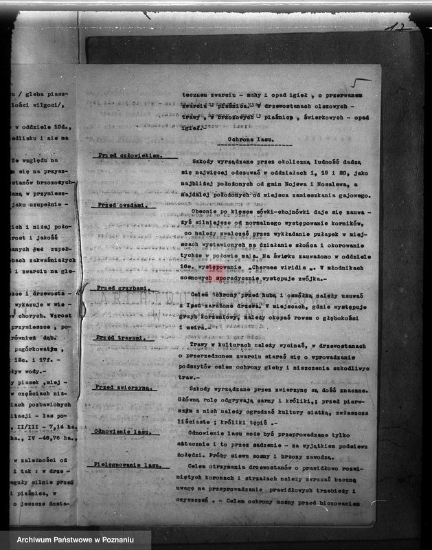 Obraz 9 z jednostki "Plan urządzenia gospodarstwa leśnego dla lasu majętności Śródka w powiecie międzychodzkim 1930-1940"