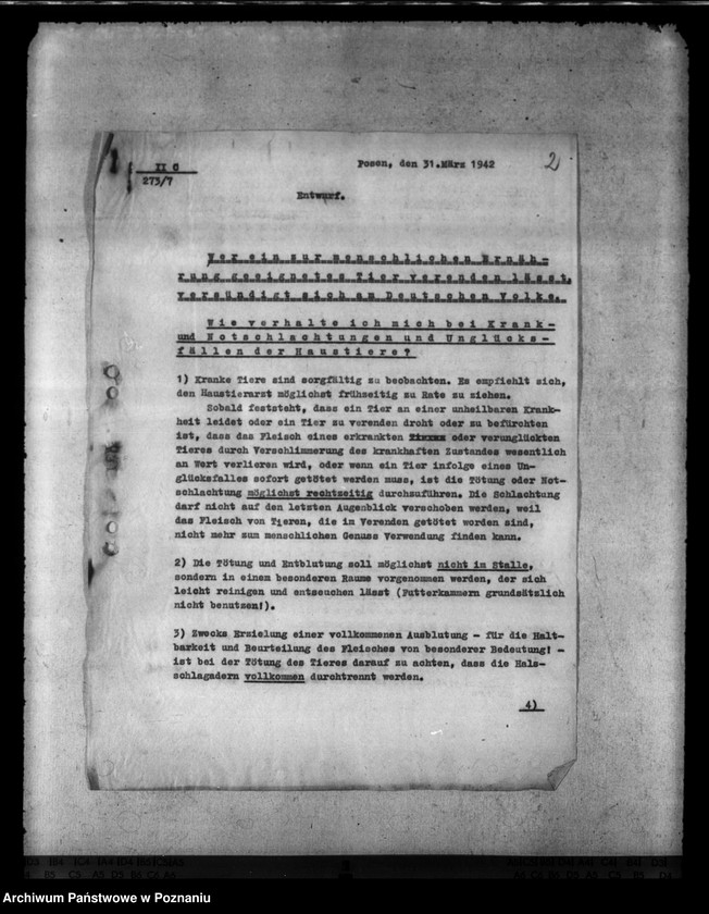 Obraz 6 z jednostki "Notschlachtungen"