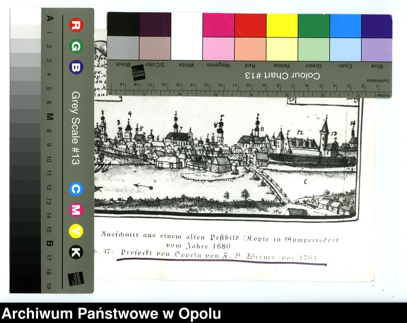 Obraz 4 z jednostki "[Fotografie rycin z publikacji Friedricha Bernharda Wernhera (Wernera)]"