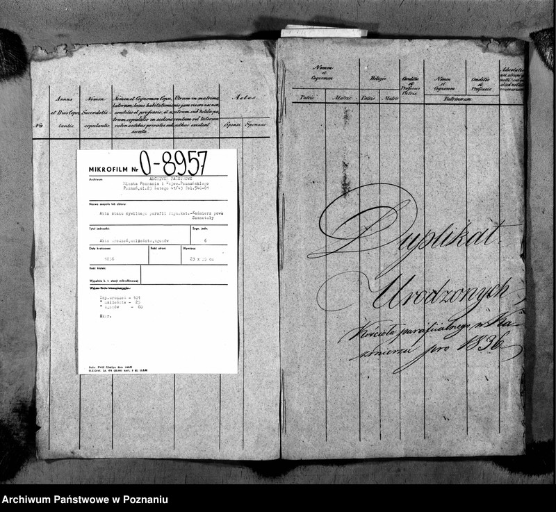 Obraz 3 z jednostki "Duplikat ochrzczonych, zaślubionych i zmarłych"