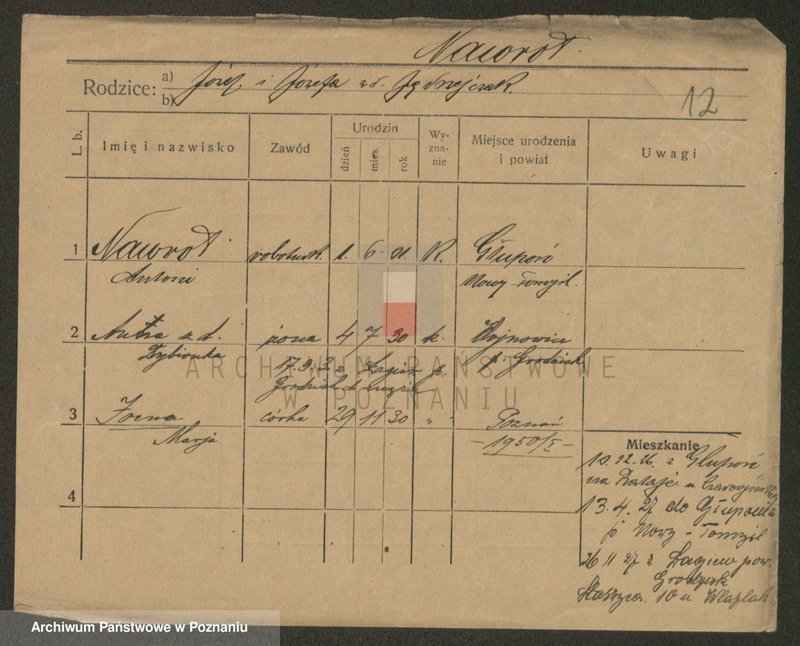 Obraz 12 z jednostki "Nawroczyński - Nejman"