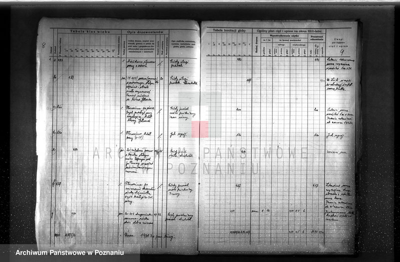 Obraz 12 z jednostki "Plan urządzenia gospodarstwa leśnego dla lasu Berty Stelter w Piotrowie powiat szamotulski 1930-1940"
