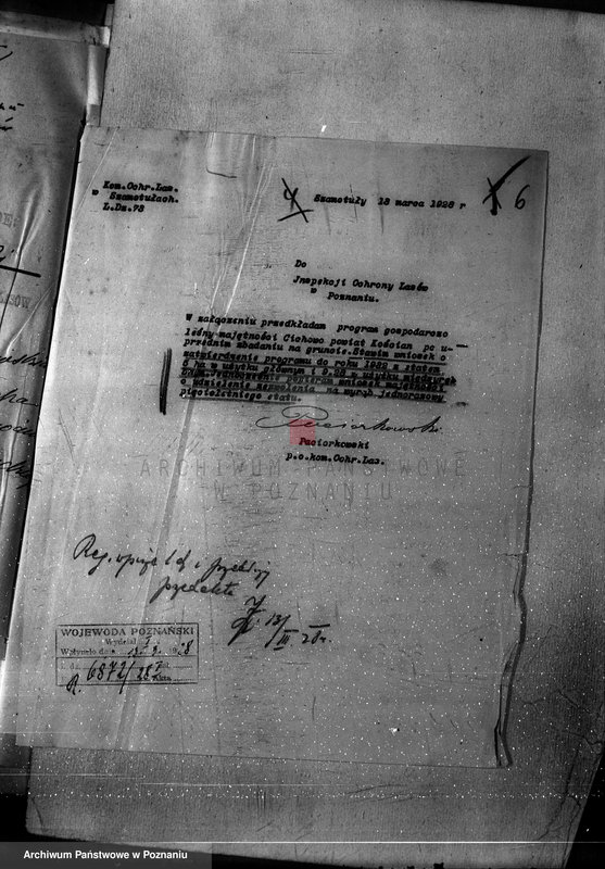 Obraz 10 z jednostki "Nadzór nad gospodarką w lasach majętności Cichowo powiat kościański"