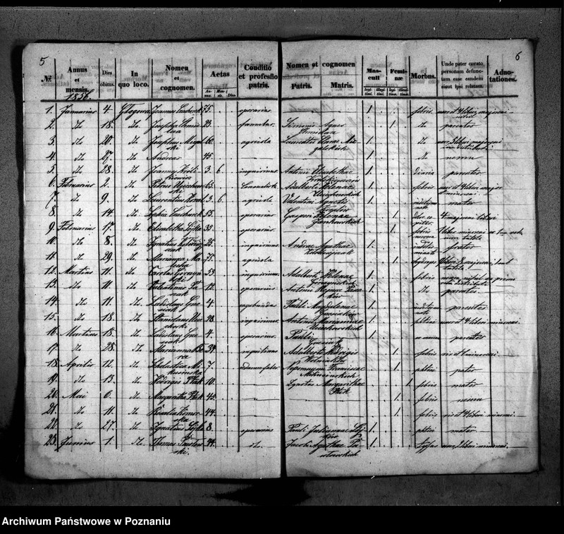 Obraz 5 z jednostki "Duplikat baptisatorum, copulatorum, mortuorum"