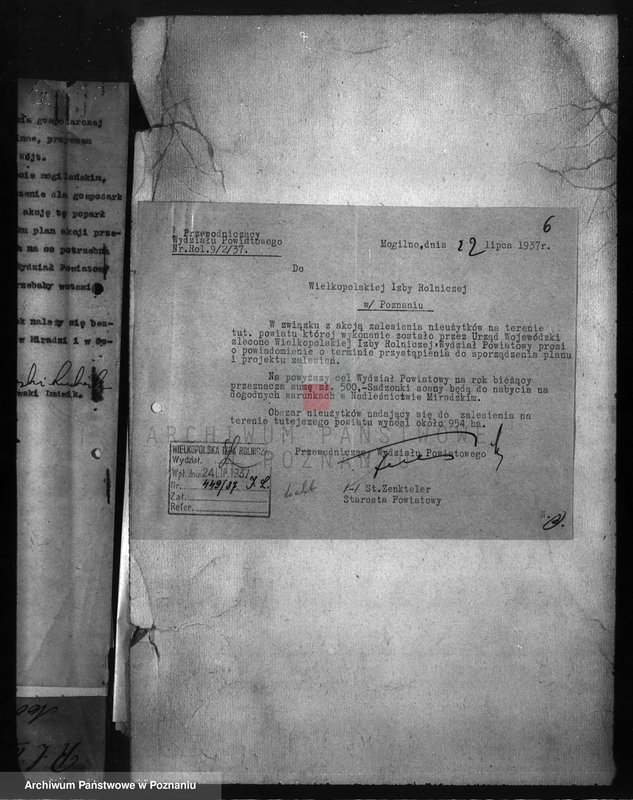 Obraz 10 z jednostki "Zalesienie nieużytków w powiecie mogileńskim"