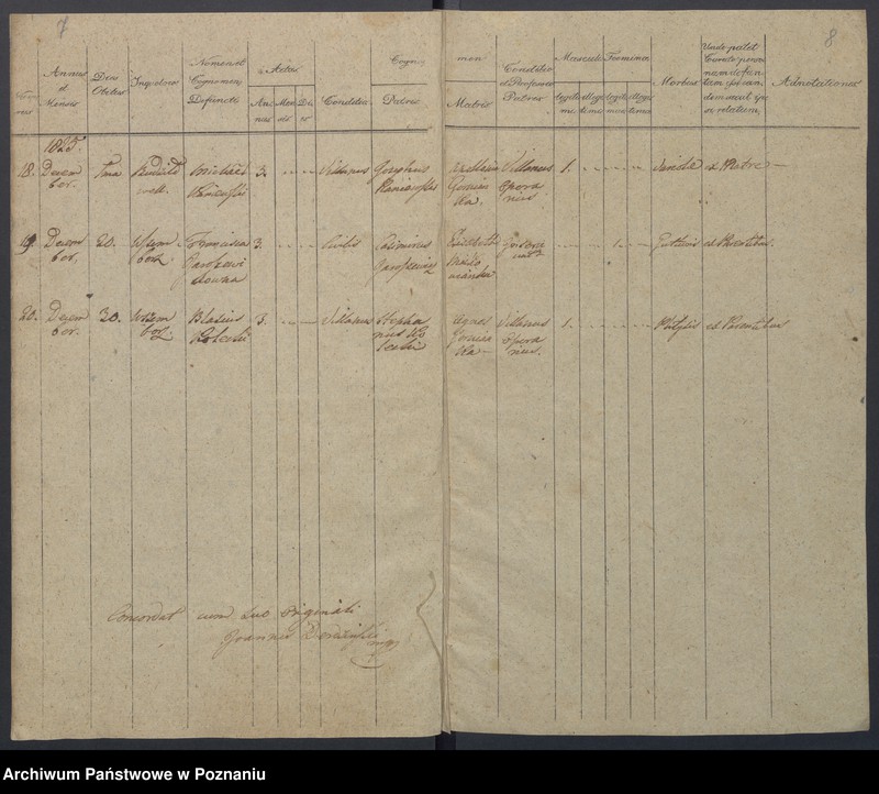 Obraz 7 z jednostki "Duplikat Natorum, Copulatorum, Mortuorum."